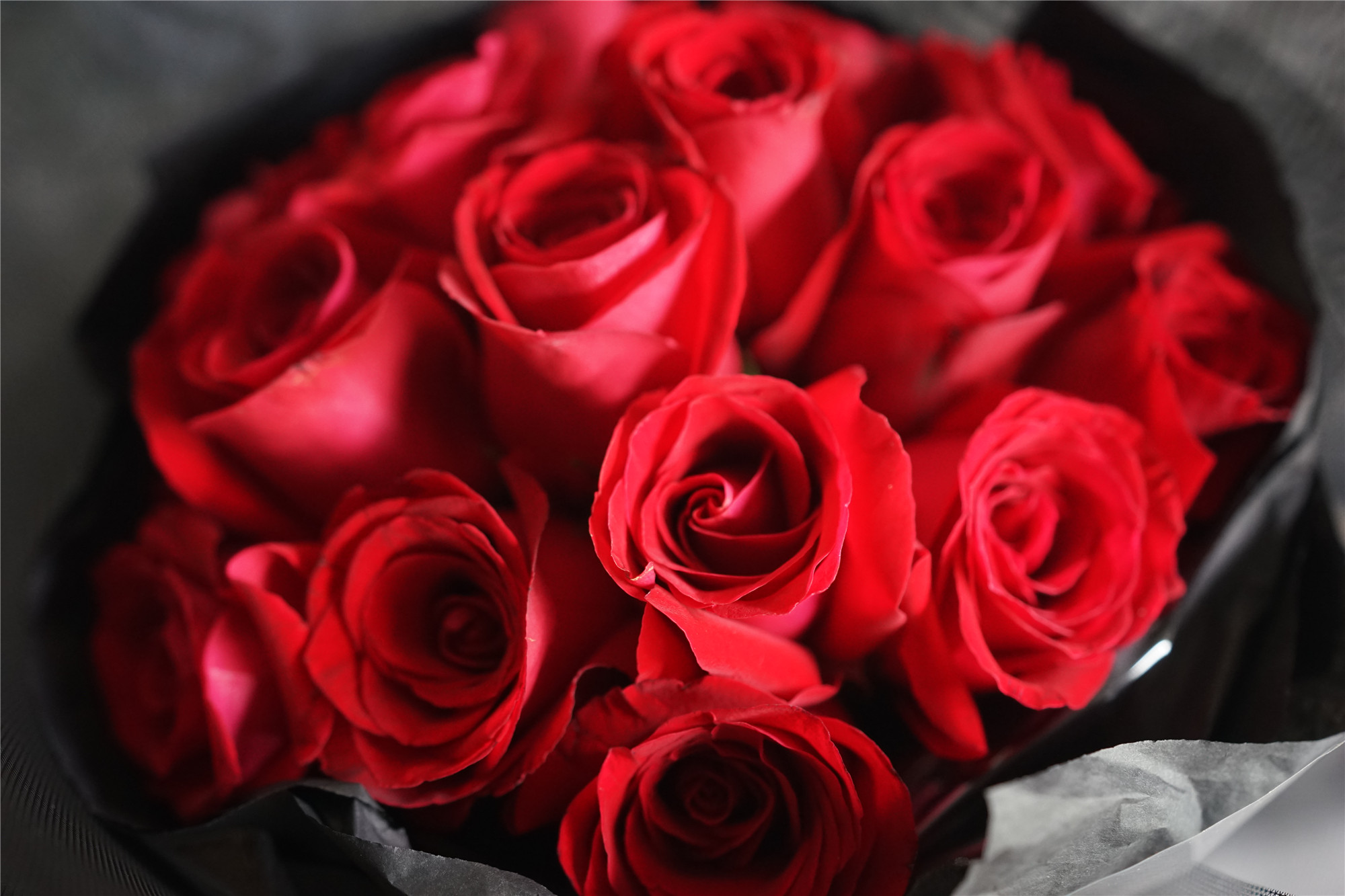 同城配送花礼最爱红玫15支颜色可换