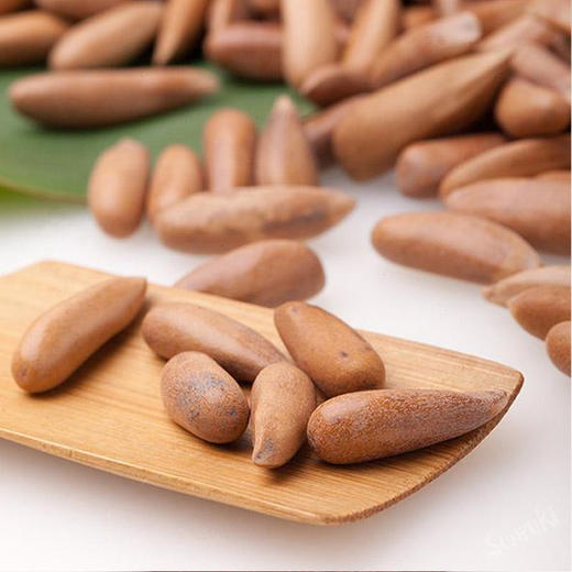 咪磕松罐装巴西松子250g 商品图3