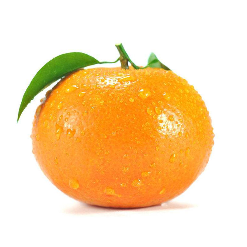 澳大利亚桔子 - 好果知时节