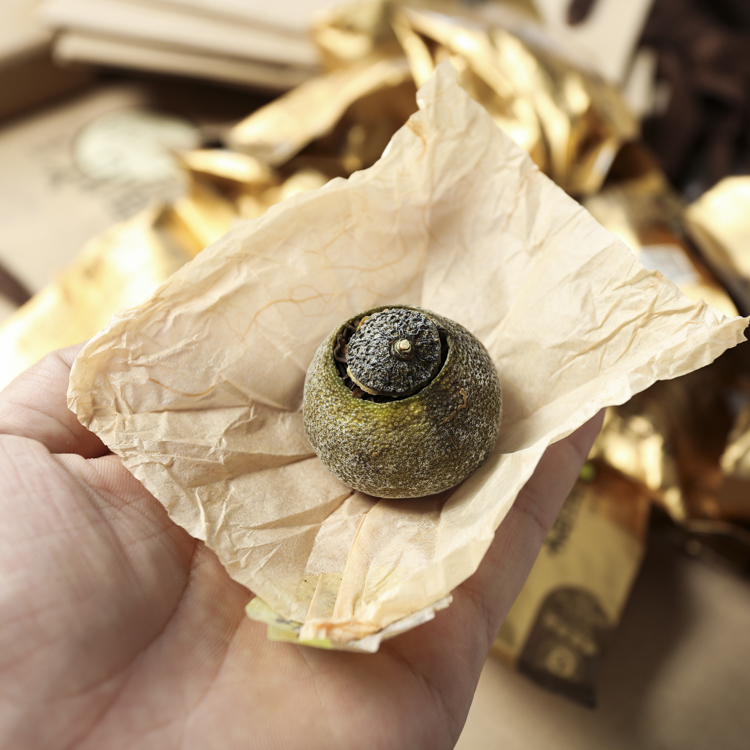 益泡柑 小青桔茶一罐