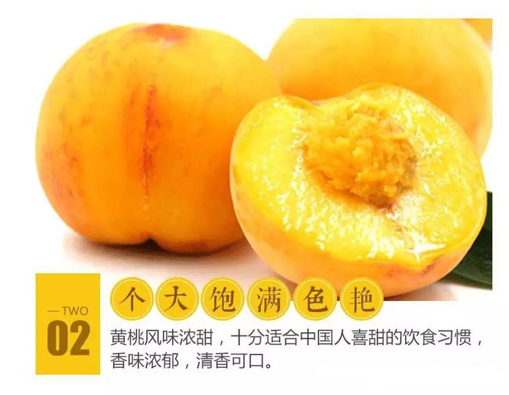 产品介绍:翰雅黄桃含有丰富的vc和大量人体所需要的多种微量元素,果皮