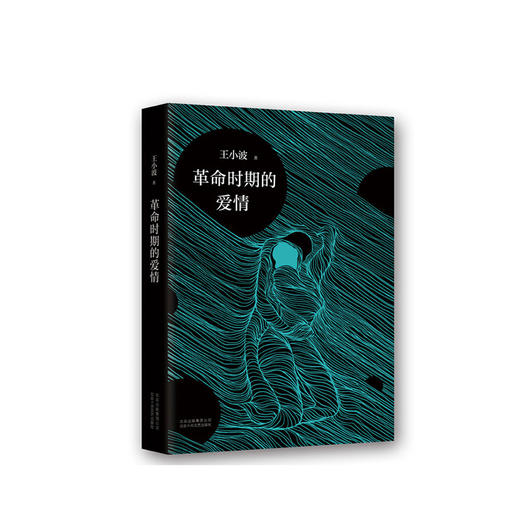 王小波：革命时期的爱情 商品图0