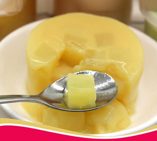 马来西亚卡地乐布丁340g 商品图2