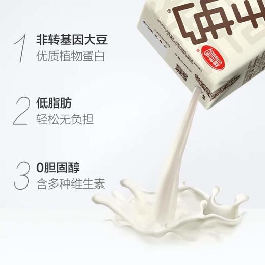 维他奶椰子味豆奶饮料（六包装）250ml*6（新旧包装） 商品图1