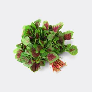 有机红米苋 500g 商品图1