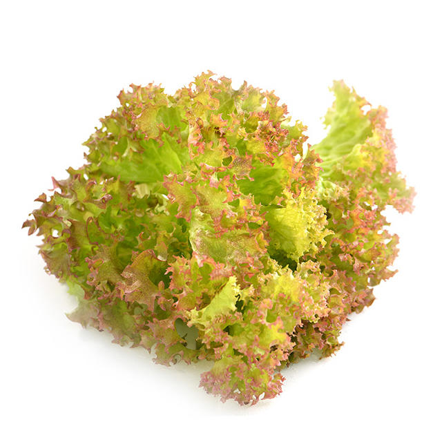 【星菜】植物工厂直供紫罗莎生菜150g净菜满68包邮新鲜蔬菜