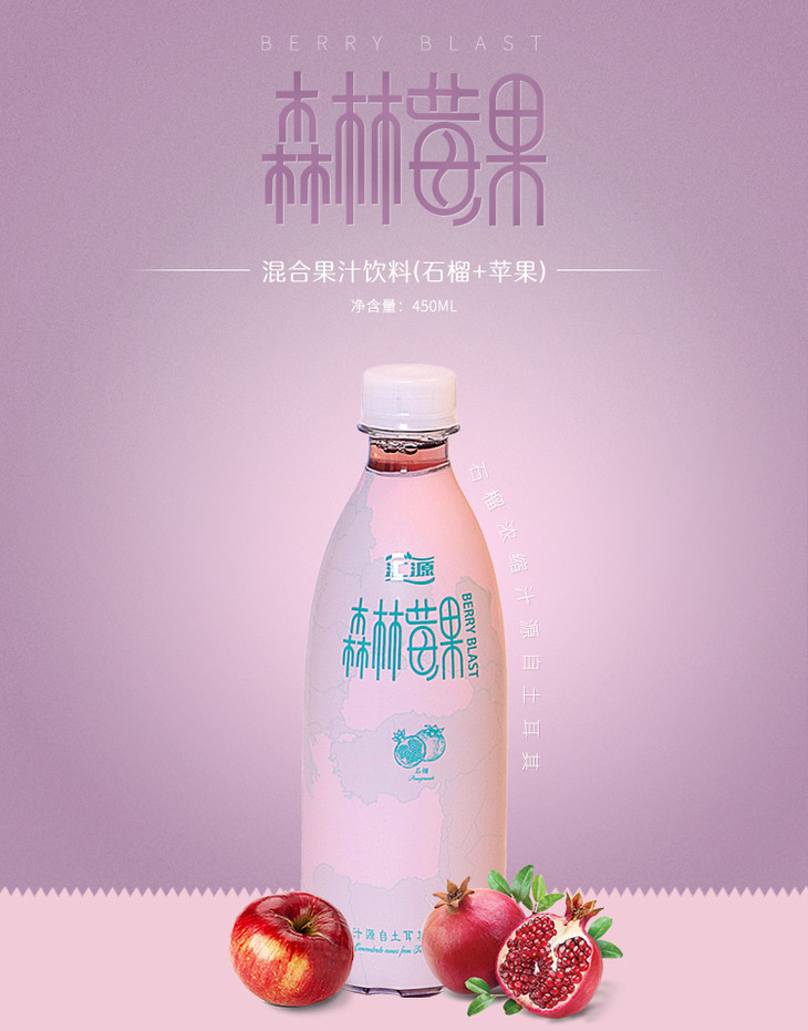 匯源 森林莓果混合果汁飲料450ml 混合果汁飲料(石榴 蘋果)-820895