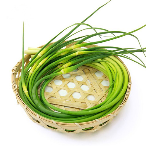 蒜苔(蒜苗)500g