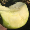 大凉山青苹果 商品缩略图2