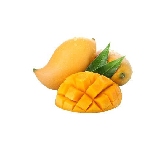 缅甸鹰嘴芒 商品图2