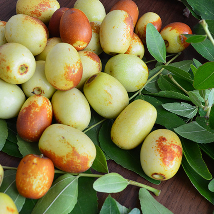 金丝枣1份重约500g