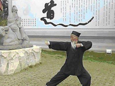 道家五形养生功法之鹤形篇 商品图0