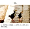 【门店现货】贵妃公鸡(纯草)/只 商品缩略图3