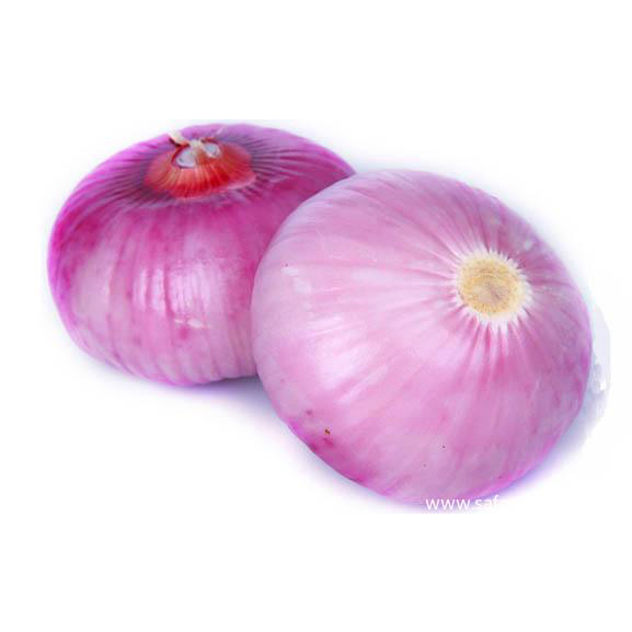 大洋葱|湛小良(湖北省广水市古农二号农场)