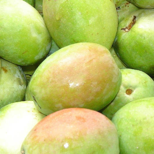 景洪酸木瓜 商品图1