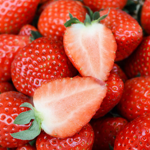 黑珍珠奶油草莓（粉盒） 商品图2