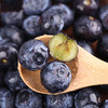 花香蓝莓 商品缩略图2