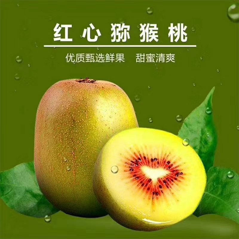 【河池世界长寿市】瑶乡丹城红心猕猴桃,香甜细腻, 原生态无污染,现摘