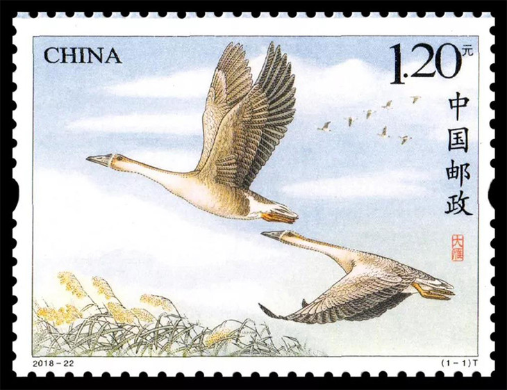 【新邮发售】《大雁》大版 小版 首日封邮票