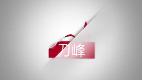 刀峰显微镜&内镜电脑驱动