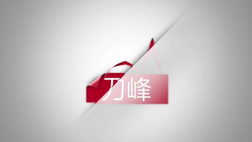 刀峰显微镜&内镜电脑驱动 商品图0