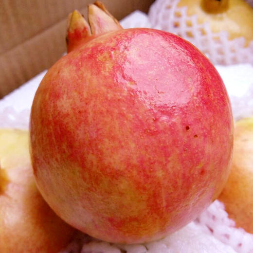 软籽石榴（一粒装约0.6kg） 商品图4