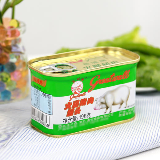 长城牌猪肉火腿罐头198g 商品图0