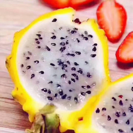 燕窝果（海南） 商品图3