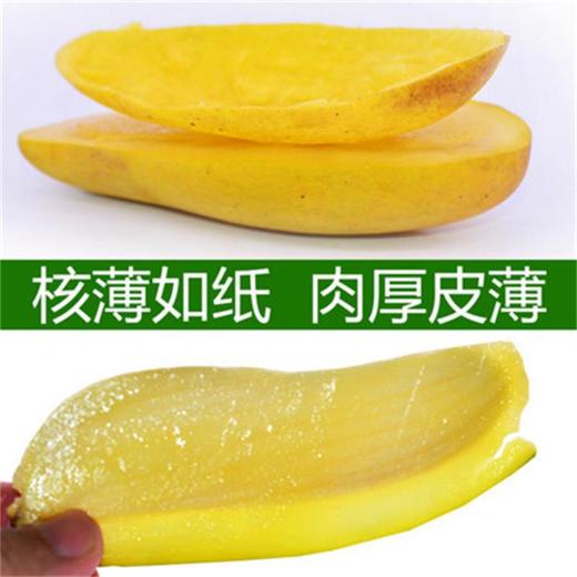 云南象牙芒 商品图1