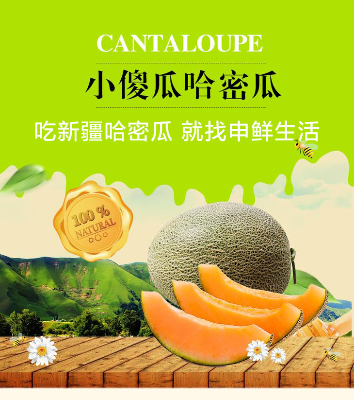 新疆小傻瓜哈密瓜 新鲜采摘时令水果2个8-9斤包邮