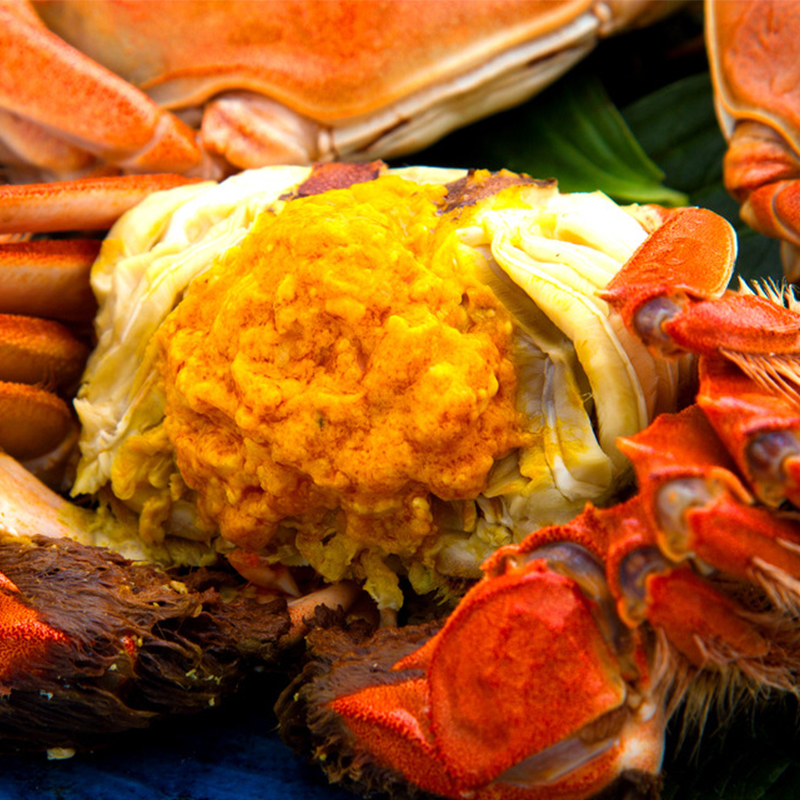中绿农龙蟹(阳澄湖大闸蟹)