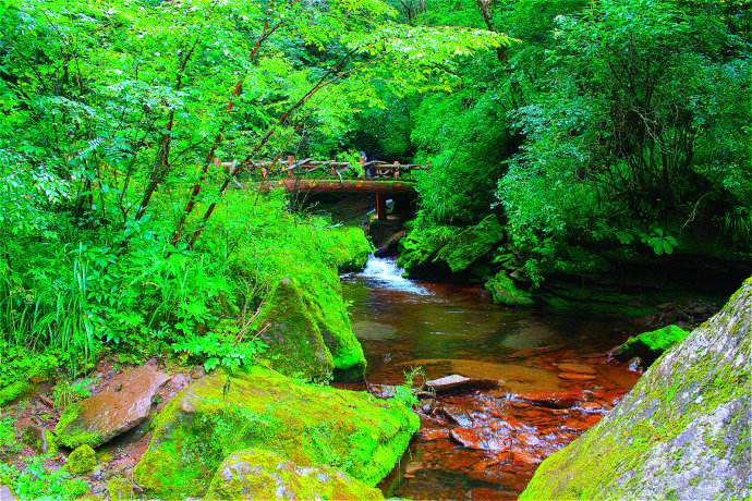 六盘山野荷谷景区