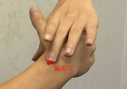 偏历穴（手部穴位） 商品图0