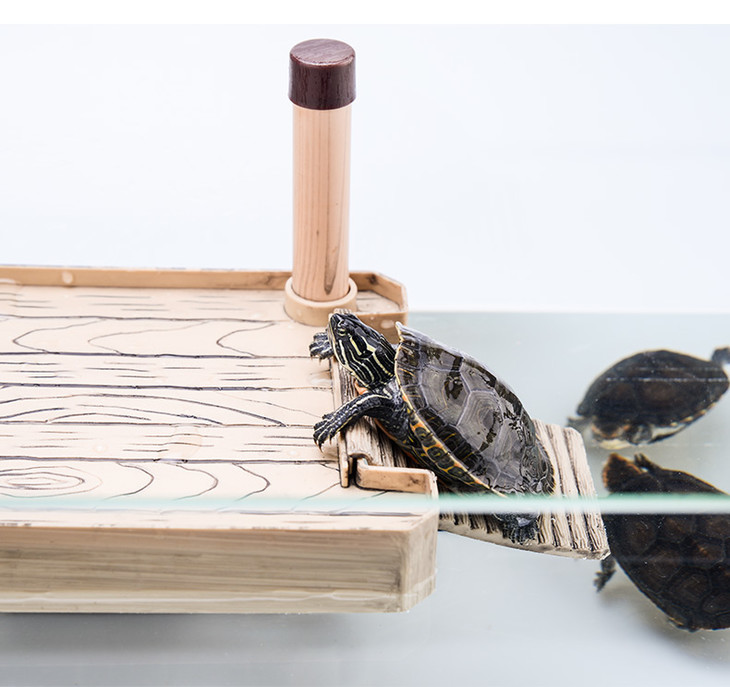 reptile structure-爬结构 dj木纹饲养箱