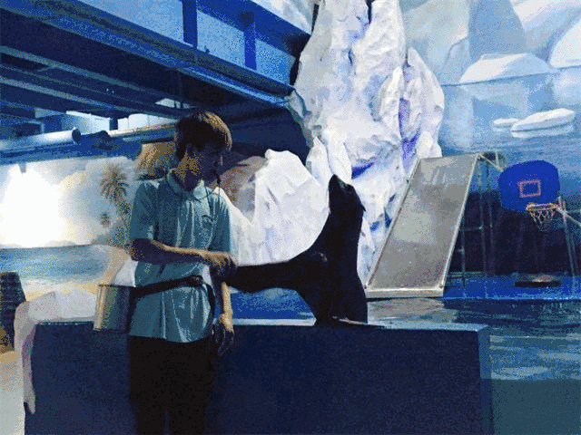 640_480gif 动态图 动图