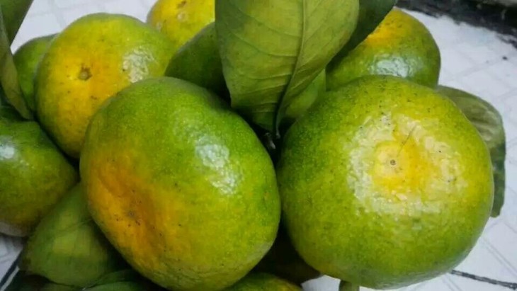 江西省寻乌县特产水果,寻乌蜜桔具有 皮薄,色鲜,果型好,质脆化渣,清香