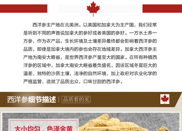 礼盒装西洋参原枝_07.png
