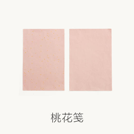 桃花笺 | 浅粉洒金,日常甜蜜