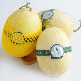 吐鲁番觅蜜18°蜜瓜