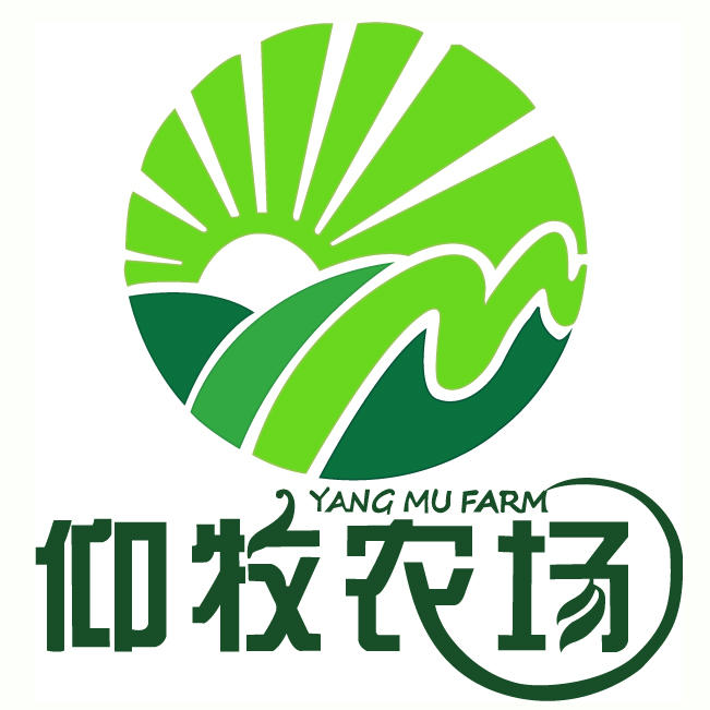 1903生活中心190613250808