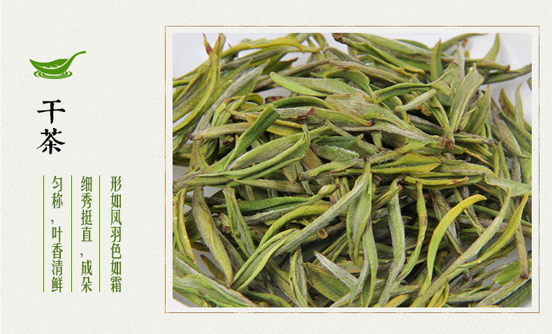 龙王山100g安吉白茶2020新茶 君子兰礼盒系列正宗特级罐装茶叶