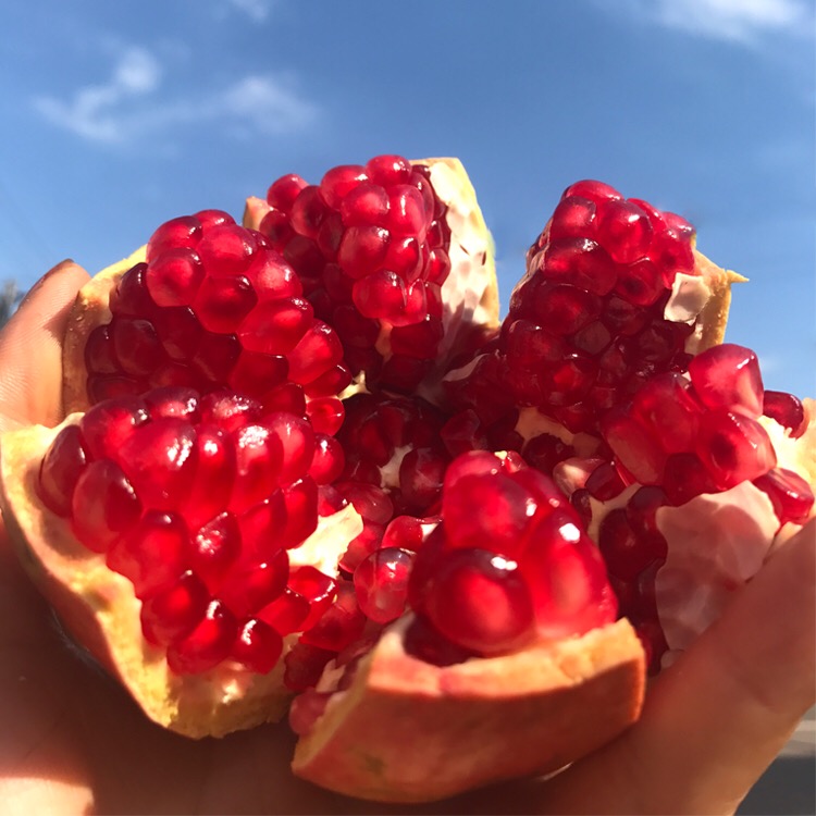 突尼斯软籽石榴 5~8颗 4.5斤装(二级花皮果)