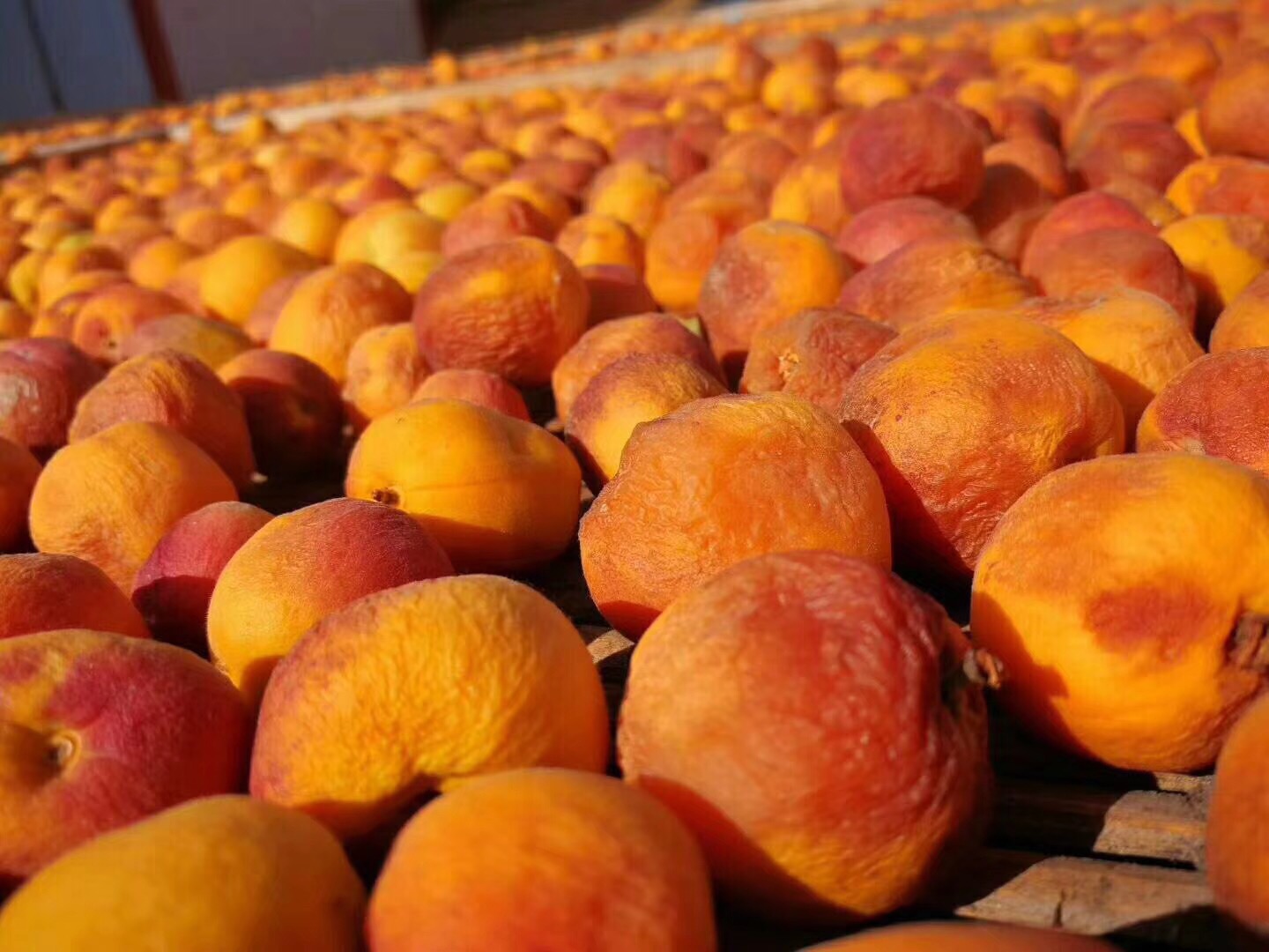 新疆霍城杏干 ,精选特级鲜杏自然晾晒,无任何添加,4公斤鲜杏出1公斤