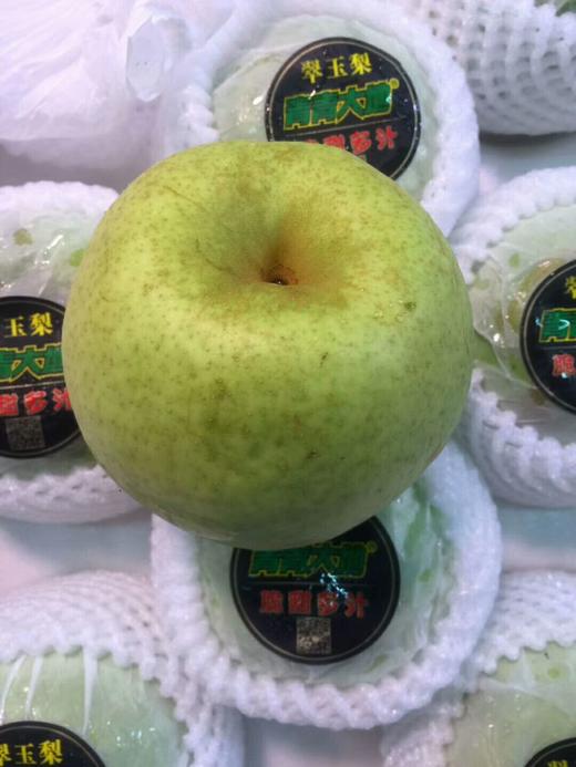 翠玉冰糖梨 商品图0