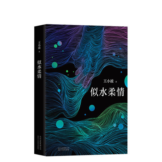 王小波：似水柔情 商品图0
