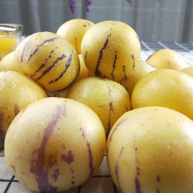 云南石林人参果熟果