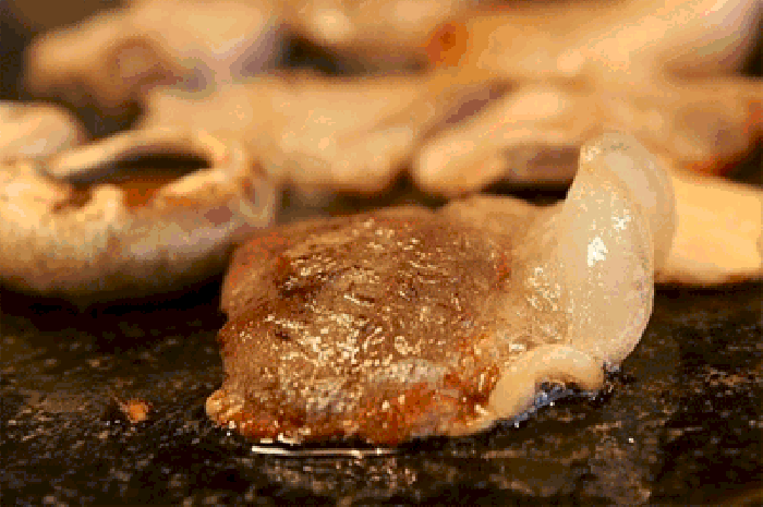 700_465gif 动态图 动图