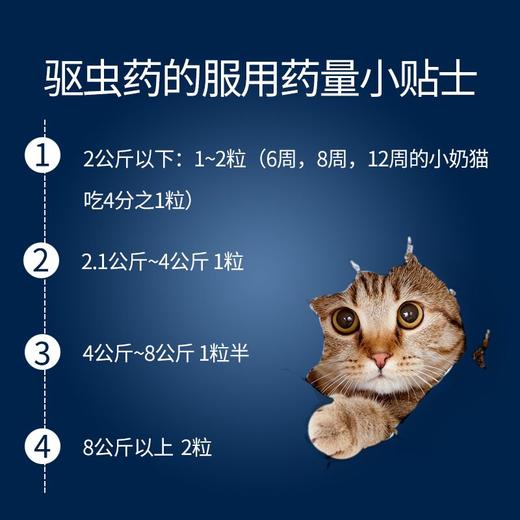德国拜耳 拜宠清猫咪体内驱虫药 打虫药驱虫片 商品图1