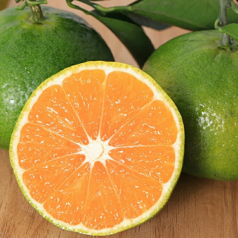 【楚秭源】湖北宜昌早熟青皮橘子时令新鲜孕妇水果净重五斤包邮