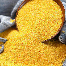 【陕北米脂小米】 农家米  现磨现发 5斤装包邮